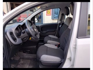 FIAT Panda 1.0 firefly hybrid city life s&s 70cv