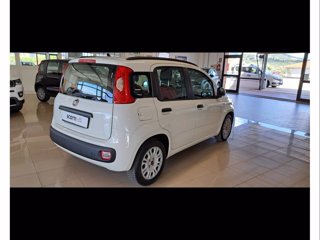 FIAT Benzina Panda 2012 1.2 easypower Easy Gpl 69cv