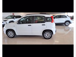 FIAT Benzina Panda 2012 1.2 easypower Easy Gpl 69cv