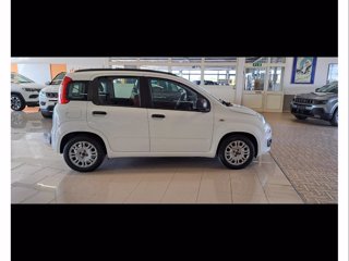 FIAT Benzina Panda 2012 1.2 easypower Easy Gpl 69cv