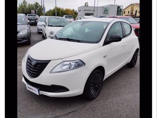 LANCIA Ypsilon 1.2 69 CV 5 porte Elefantino