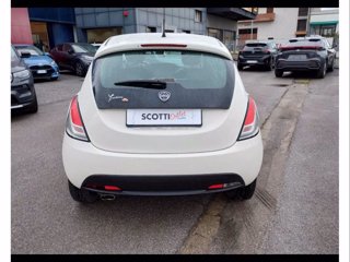 LANCIA Ypsilon 1.2 69 CV 5 porte Elefantino