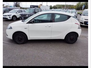 LANCIA Ypsilon 1.2 69 CV 5 porte Elefantino