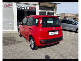 FIAT Panda 1.2 easy easypower gpl 69cv my19