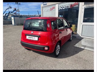 FIAT Panda 1.2 easy easypower gpl 69cv my19