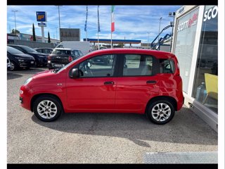 FIAT Panda 1.2 easy easypower gpl 69cv my19