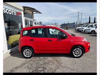 FIAT Panda 1.2 easy easypower gpl 69cv my19