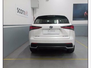 LEXUS NX Hybrid 4WD Executive