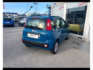 FIAT Panda 1.2 easy 69cv e6