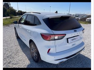 FORD Kuga 1.5 ecoblue st-line 2wd 120cv