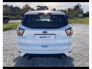 FORD Kuga 1.5 tdci st-line s&s 2wd 120cv my19.25