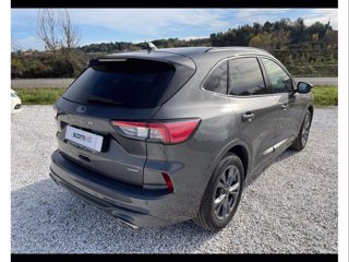 FORD Kuga 2.5 full hybrid st-line x 2wd 190cv cvt