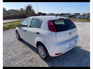 FIAT Punto 5p 1.2 Young