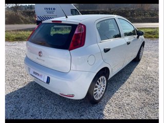 FIAT Punto 5p 1.2 Young