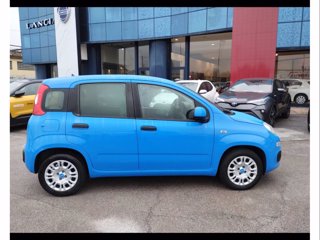 FIAT Panda 1.2 easy 69cv