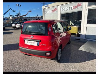 FIAT Panda 1.0 FireFly Hybrid 70cv Easy Connect