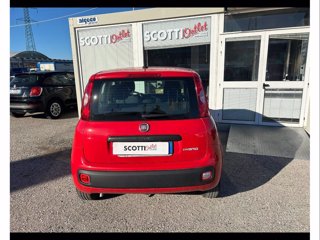 FIAT Panda 1.0 FireFly Hybrid 70cv Easy Connect