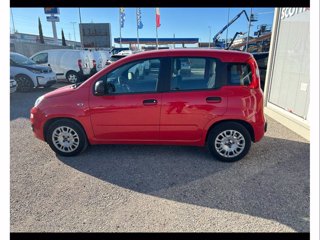 FIAT Panda 1.0 FireFly Hybrid 70cv Easy Connect