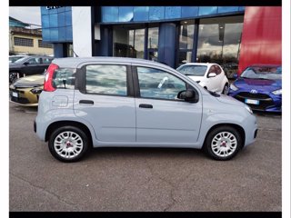 FIAT Panda 1.0 firefly hybrid city cross s&s 70cv