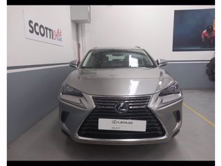 LEXUS NX Hybrid 4WD Executive