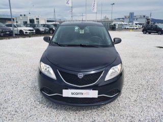 LANCIA Ypsilon 1.2 69 CV 5 porte Elefantino Blu