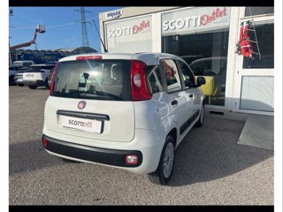 FIAT Panda 1.2 easy 69cv e6