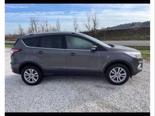 FORD Kuga 1.5 tdci titanium s&s 2wd 120cv my18