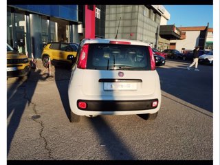 FIAT Panda 1.2 easy 69cv