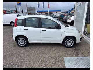 FIAT Panda van 1.3 mjt Easy S&S 80cv 4p.ti serie 1 E6