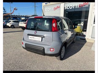 FIAT Panda 1.0 firefly hybrid s&s 70cv