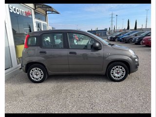 FIAT Panda 1.2 easy s&s 69cv my19