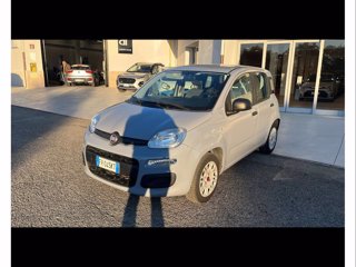 FIAT Panda 1.2 easy easypower gpl 69cv my19