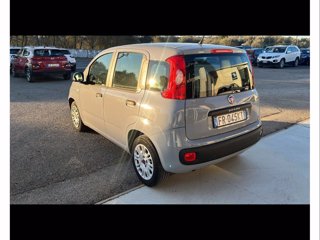 FIAT Panda 1.2 easy easypower gpl 69cv my19