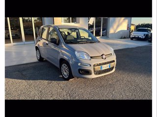 FIAT Panda 1.2 easy easypower gpl 69cv my19