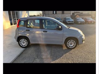 FIAT Panda 1.2 easy easypower gpl 69cv my19