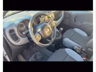 FIAT Panda 1.2 easy easypower gpl 69cv my19