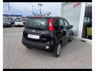 FIAT Panda 1.0 firefly hybrid s&s 70cv