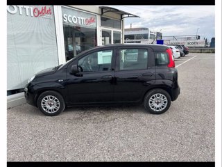 FIAT Panda 1.0 firefly hybrid s&s 70cv