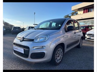 FIAT Panda 1.2 Easy easypower Gpl 69cv my19