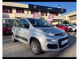 FIAT Panda 1.2 Easy easypower Gpl 69cv my19