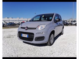 FIAT Panda 1.2 easy s&s 69cv my19