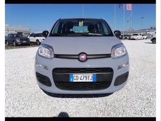 FIAT Panda 1.2 easy s&s 69cv my19