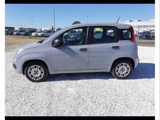 FIAT Panda 1.2 easy s&s 69cv my19