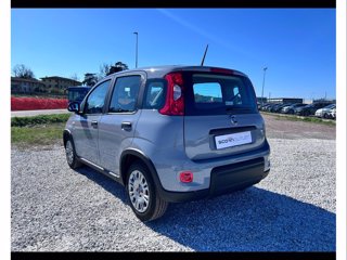 FIAT Panda 1.0 firefly hybrid city life s&s 70cv