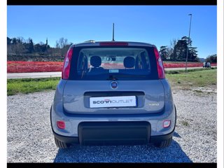 FIAT Panda 1.0 firefly hybrid city life s&s 70cv