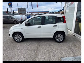 FIAT Panda 0.9 t.air t. natural power pop 80cv